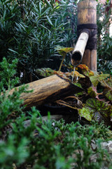 Japanese bamboo water fountain Shishi Odoshi in a zen garden 