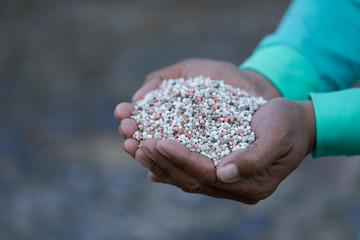 Bulk Blend Fertilizer in farmer hands.