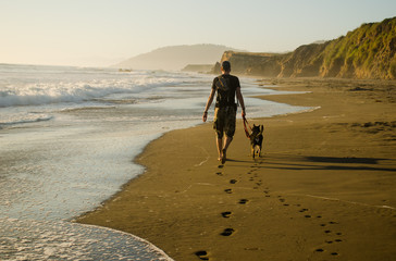 Man Walking Dog on Sand Beach