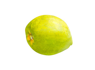 Canistel or Egg fruit isolated on white background with clipping path ( Tiesa, Yellow sapote, Canistelsapote, Chesa ,Laulu lavulu , Lawalu ,Pouteria campechiana)
