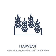 Harvest icon. Harvest linear symbol design from Agriculture, Farming and Gardening collection.