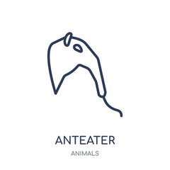 Obraz premium Anteater icon. Anteater linear symbol design from Animals collection.