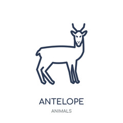 Antelope icon. Antelope linear symbol design from Animals collection.