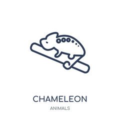 Chameleon icon. Chameleon linear symbol design from Animals collection.