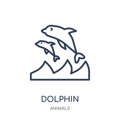 Dolphin icon. Dolphin linear symbol design from Animals collection.