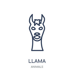 Llama icon. Llama linear symbol design from Animals collection.