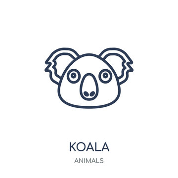 Koala icon. Koala linear symbol design from Animals collection.