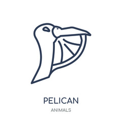 Pelican icon. Pelican linear symbol design from Animals collection.