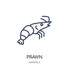 Prawn icon. Prawn linear symbol design from Animals collection.