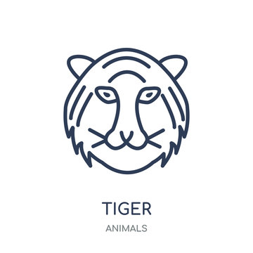 Tiger icon. Tiger linear symbol design from Animals collection.