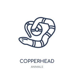 copperhead icon. copperhead linear symbol design from Animals collection.