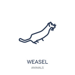 weasel icon. weasel linear symbol design from Animals collection.