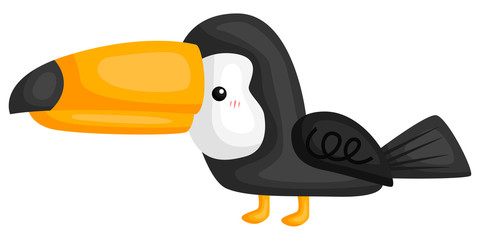 a vector of a cute toucan bird