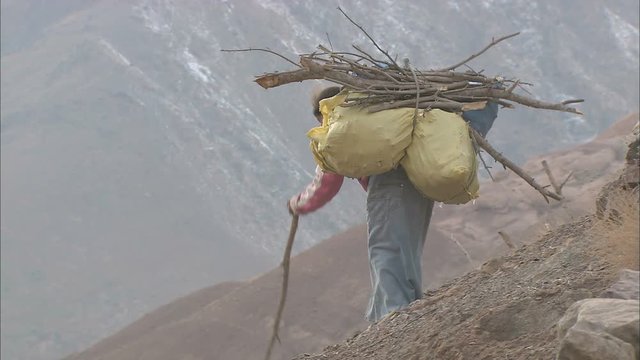 A woman carrying firewood on her back down a hill in the Atlas Mountains of Morocco