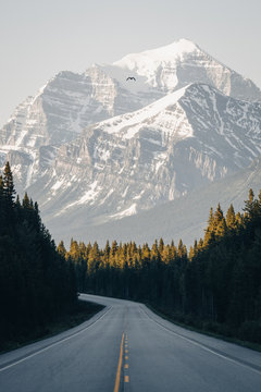 Road In Alberta Canada Rocky Mountains