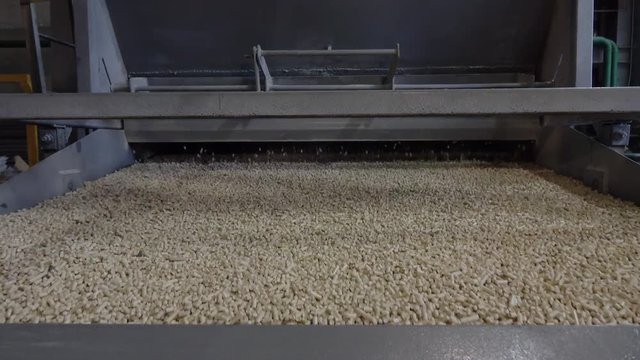 Shop plant for the production of pellets from biomass .Biofuel.