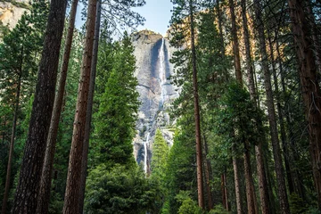 Wandcirkels aluminium Yosemite Falls in Yosemite National Park © Sean