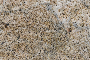 background image, texture of different stone, interspersed with shells, cracks and stripes