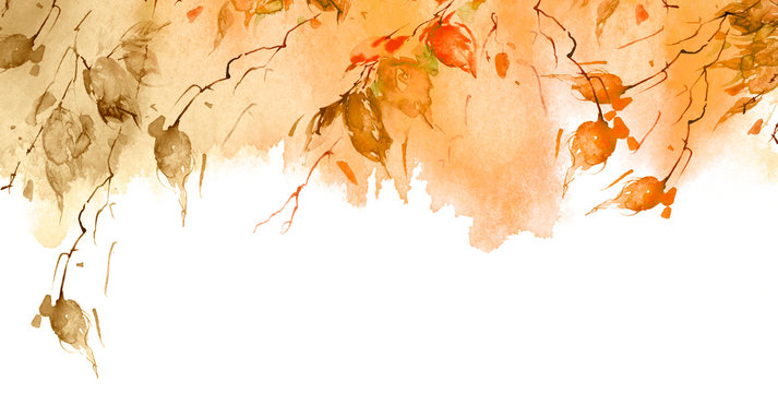 Watercolor orange, brown background, blot, blob, splash of orange, brown paint on white background. Watercolor orange sky, spot, abstraction. leaves in the wind. Branch of a tree, a birch.