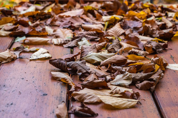 Herbstlaub auf einem Holztisch