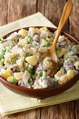 Delicious Latvian salad rasols of boiled and pickled vegetables with herring and beef close-up in a...