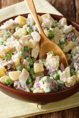 Close-up of a popular Latvian salad rosols made of vegetables with herring and beef in a bowl. vertical