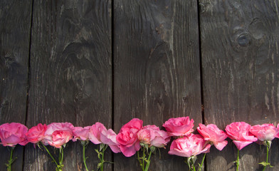 Fototapeta na wymiar Pink rose bouquet on wooden rustic background