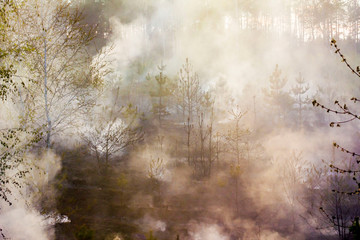 Wildfire in the woods with white smoke 