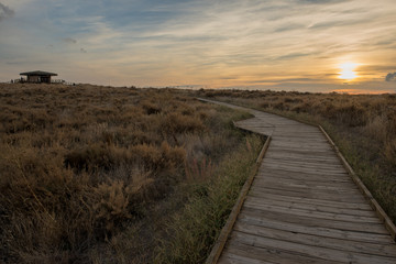 Fototapeta premium Wooden walk by the boards of daimiel at sunset