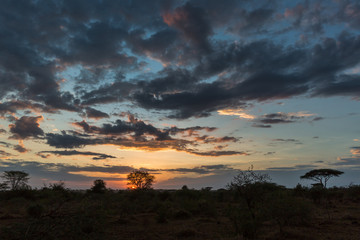 Tansania - Serengeti - Nationalpark