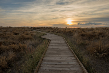 Wooden walk by the boards of daimiel at sunset