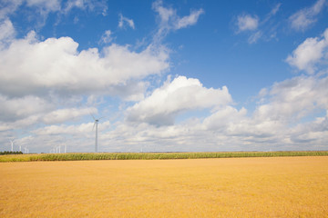 Vibrant spring landscape of farmland and grass in the polder of Flevoland, The Netherlands. Blue...