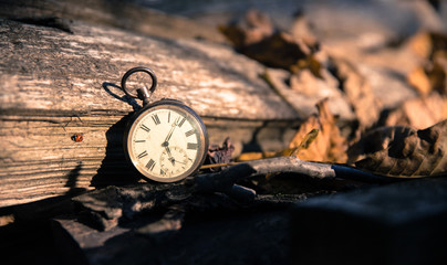 Time goes by: vintage watch outdoors; wood and leaves;