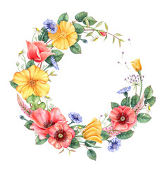 Floral frame with wild flowers. Hand drawn watercolor design element.