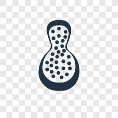 Papaya vector icon isolated on transparent background, Papaya transparency logo design