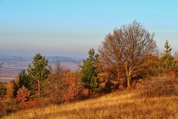 A scenic panoramic view of autumn trees, grass, fields and mountains during sunset at golden hour