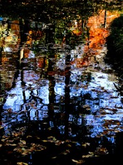 日本の秋の池に映ったカラフルな紅葉