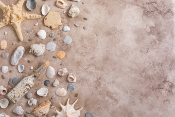 Fototapeta na wymiar A collection of seashells on a textural background. The concept of flat lay of the site.