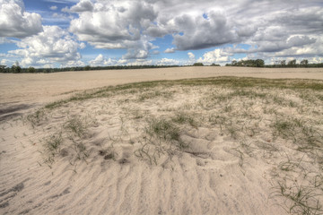 Shifting sands and heath land in Soesterduinen, a unique nature reserve on the Utrechtse Heuvelrug, Netherlands.