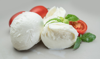 Traditional Italian mozzarella cheese with herbs and tomatoes on gray background.