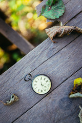 Time goes by: vintage watch outdoors; wood and leaves;
