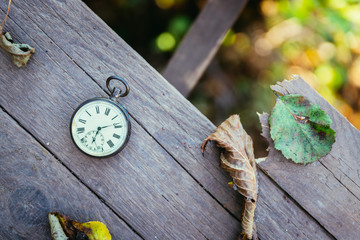 Time goes by: vintage watch outdoors; wood and leaves;