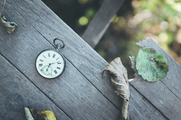Time goes by: vintage watch outdoors; wood and leaves;