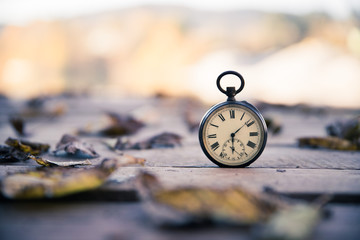 Time goes by: vintage watch outdoors; wood and leaves;