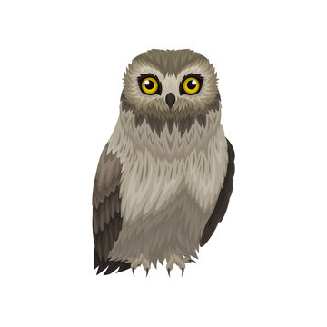 Flat vector icon of great gray owl. Large wild bird with bright yellow eyes. Flying creature. Fauna theme