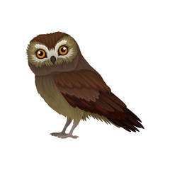 Flat vector icon of northern saw-whet owl. Small wild bird with orange eyes and brown plumage. Wildlife theme
