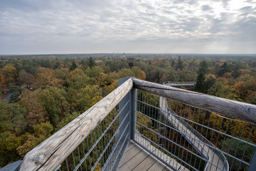 A Treetop Path over the Trees