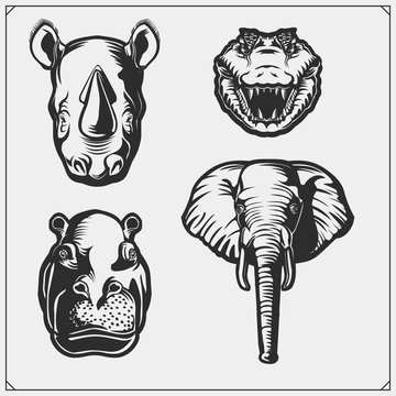 Set of african and jungle animals. Crocodile, hippo, elephant and rhino.