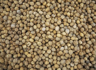 Large heap of walnuts. Food background, top view