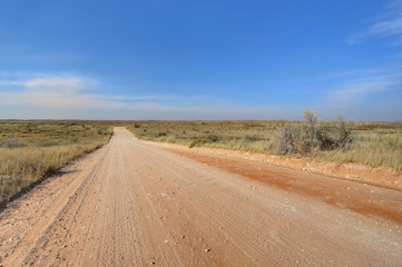 Fototapeta na wymiar EMPTY DESERT ROAD, Kalahari, South Africa